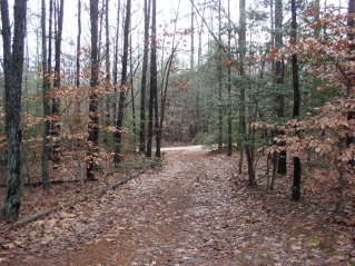 Walking down the driveway