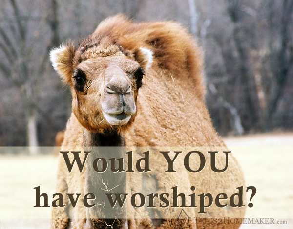 Would YOU have worshiped?