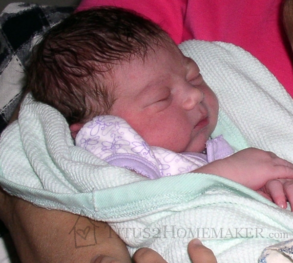 Sophia Ramey @ titus2homemaker.com