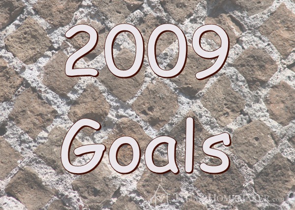 2009 Goals #t2hmkr