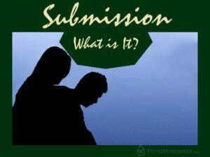 Submission: What is It? #t2hmkr