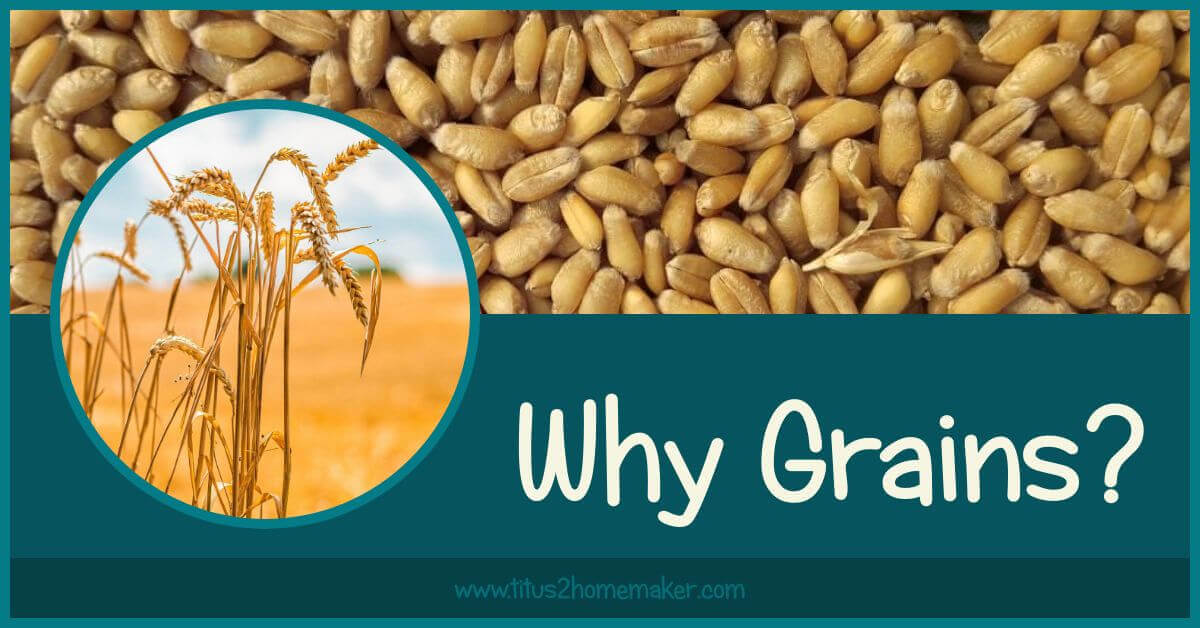 Why Do We Need to Eat Grains? (Or Do We?)