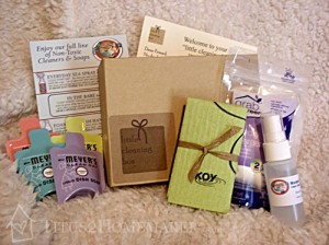 The Little Cleaning Box