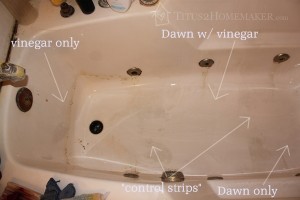 Dawn & vinegar in the bathtub
