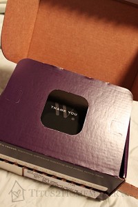 Wantable #jewelry subscription box review at Titus 2 Homemaker - #t2hmkr