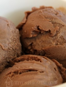 Chocolate Coconut Milk Ice Cream recipe at Titus 2 Homemaker - #t2hmkr #gf #glutenfree #dairyfree