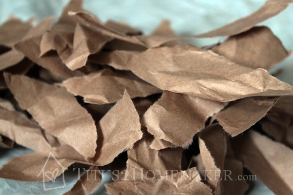 torn strips of paper