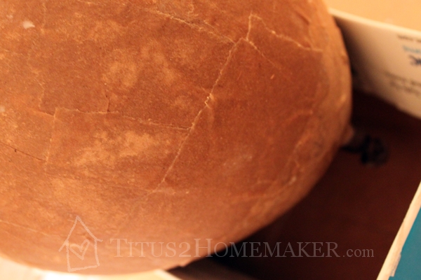 propping the balloon in a box to cover it in papier mache