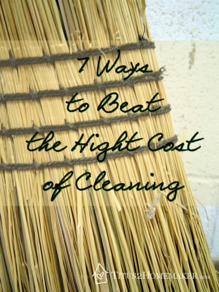 7 Ways to Beat the High Cost of Cleaning