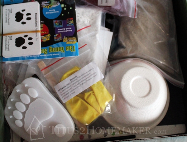 Magic School Bus Nature Kit from Young Scientists Club
