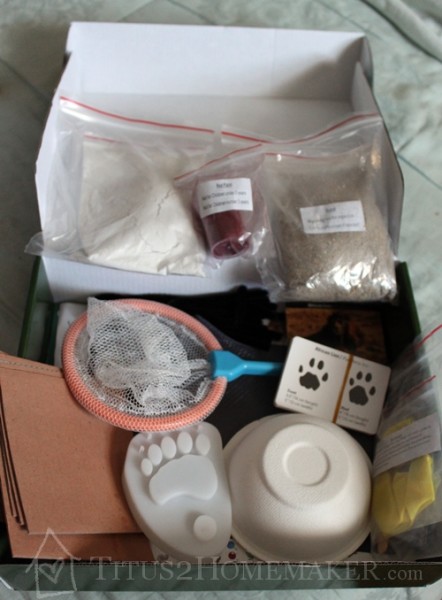 Magic School Bus Nature Kit from Young Scientists Club