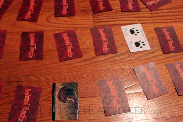 animal tracks matching game