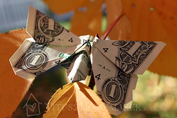 Money Origami Butterfly
