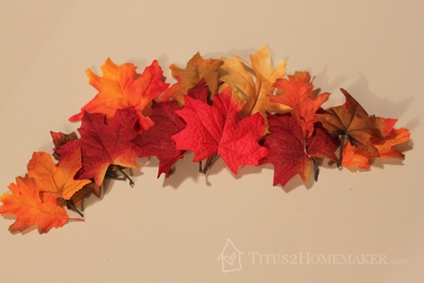 selecting feathers for pumpkin turkey