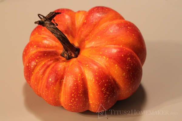 pumpkin for pumpkin turkey