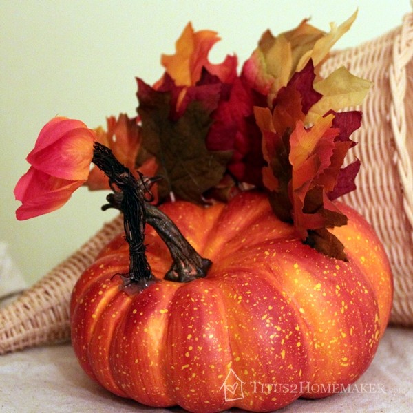 pumpkin turkey
