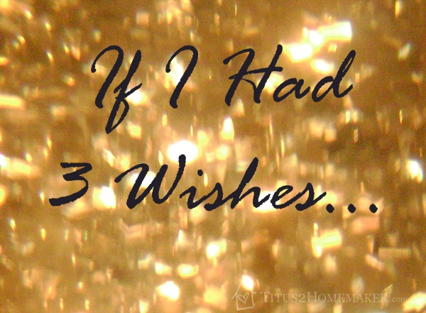 If I Had 3 Wishes... #t2hmkr