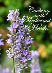 Cooking with Medicinal Herbs   #t2hmkr