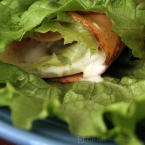 (Mock) Buffalo Chicken Sandwich #t2hmkr