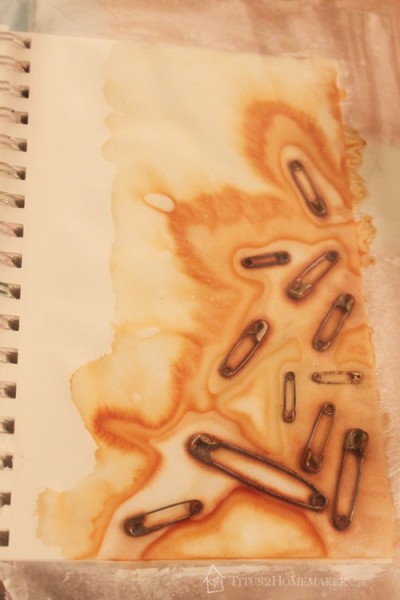 safety pins after rust-printing  #t2hmkr