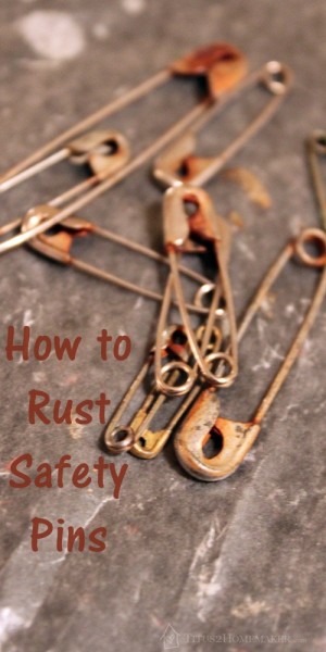 safetypins-rusty-pinterest
