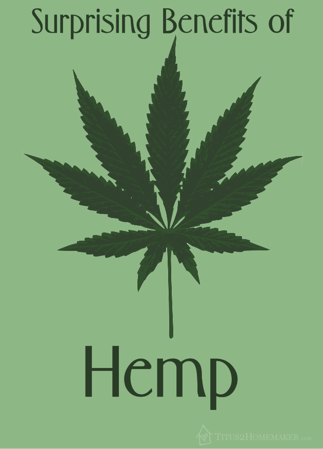 Surprising Benefits of Hemp #t2hmkr