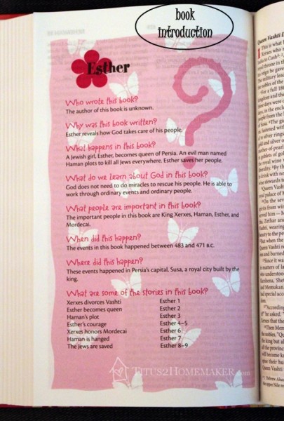 Young Women of Faith Bible book introduction #t2hmkr #ZBlogSquad