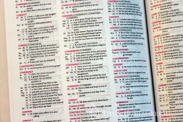 Young Women of Faith Bible concordance #t2hmkr #ZBlogSquad