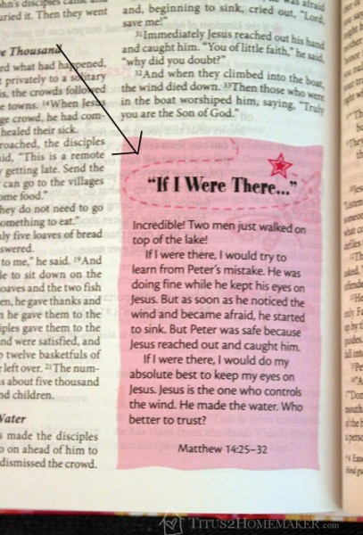 Young Women of Faith Bible "If I Were There" #t2hmkr #ZBlogSquad