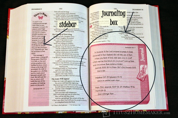 Young Women of Faith Bible sidebar & journaling box #t2hmkr #ZBlogSquad
