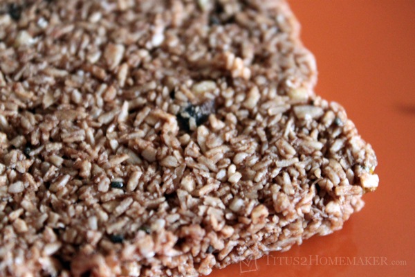 Cocomo Joe JOEBAR  #t2hmkr