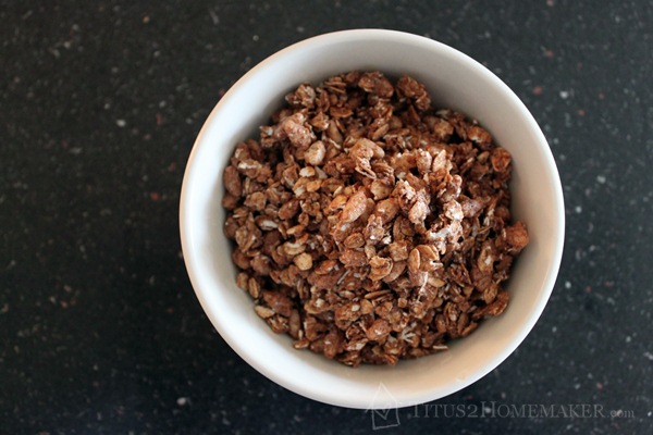 Cocomo Joe Chocolate Milk Granola  #t2hmkr