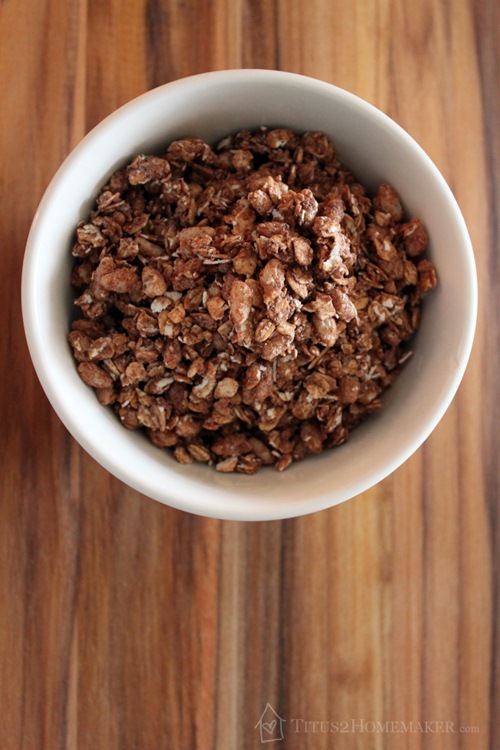 Cocomo Joe Chocolate Milk Granola  #t2hmkr