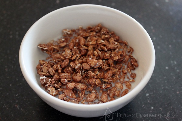 Cocomo Joe Chocolate Milk Granola  #t2hmkr