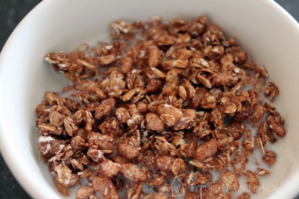 Cocomo Joe Chocolate Milk Granola  #t2hmkr