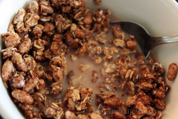 Cocomo Joe Chocolate Milk Granola  #t2hmkr