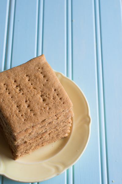 S'mores Roundup at Titus 2 Homemaker -- Gluten Free Graham Crackers from Sweet Treats #t2hmkr