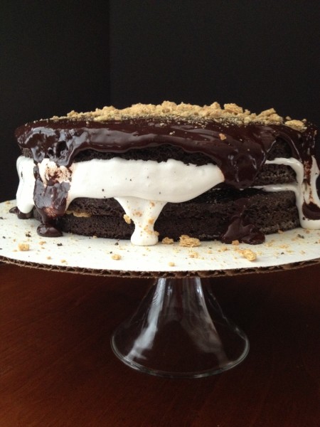 S'mores Roundup at Titus 2 Homemaker -- S'mores Cake from Southern Kissed #t2hmkr
