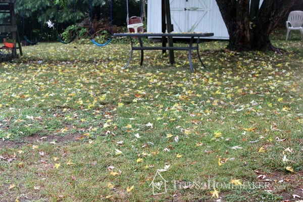 Trailhopper review - A good kind of day for it! #t2hmkr