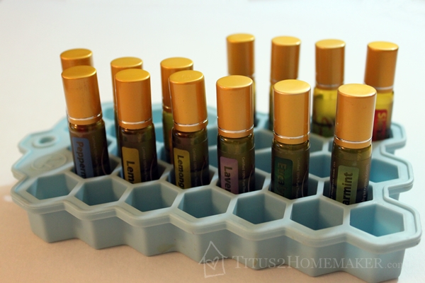 Essential Oil Storage -- Titus 2 Homemaker #t2hmkr #EOs