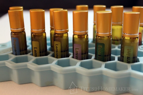 Essential Oil Storage -- Titus 2 Homemaker #t2hmkr #EOs