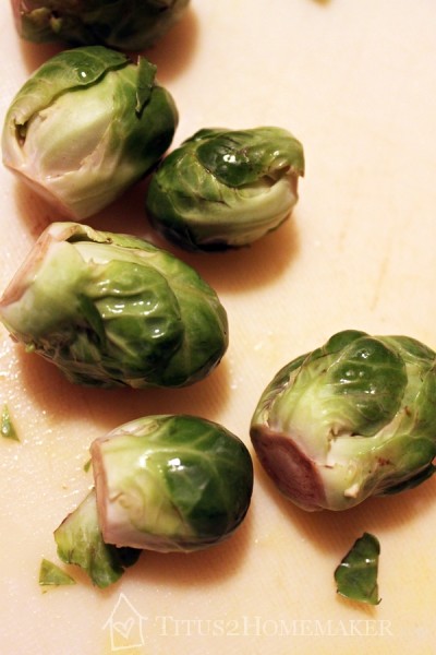 The Paleo Approach Cookbook review at Titus 2 Homemaker (Bacon-Braised Brussels Sprouts) #t2hmkr #paleo #aip