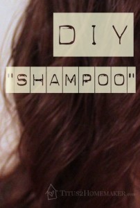 DIY "Shampoo" - Titus 2 Homemaker #t2hmkr