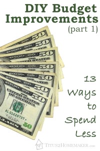 DIY Budget Improvements, part 1: 13 Ways to Spend Less -- Titus 2 Homemaker #t2hmkr