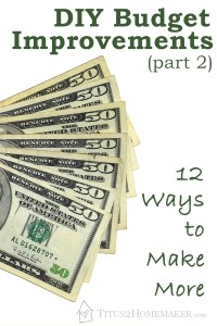DIY Budget Improvements, part 2: 10 Ways to Make More -- Titus 2 Homemaker #t2hmkr