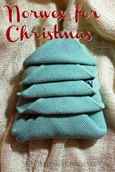 7+ Ways to Gift a Norwex Cloth -- Titus 2 Homemaker #t2hmkr