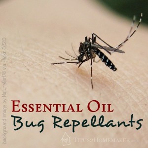 Essential Oil Bug Repellants -- Titus 2 Homemaker