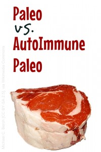 Paleo vs. AutoImmune Paleo (AIP) at Titus 2 Homemaker