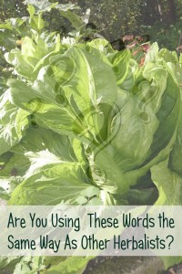 Are You Using These Words the Same Way as Other Herbalists? (The importance of consistency) -- Titus 2 Homemaker