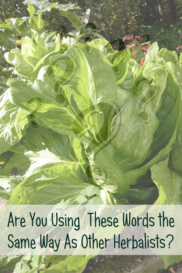 Are You Using These Words the Same Way as Other Herbalists? (The importance of consistency) -- Titus 2 Homemaker